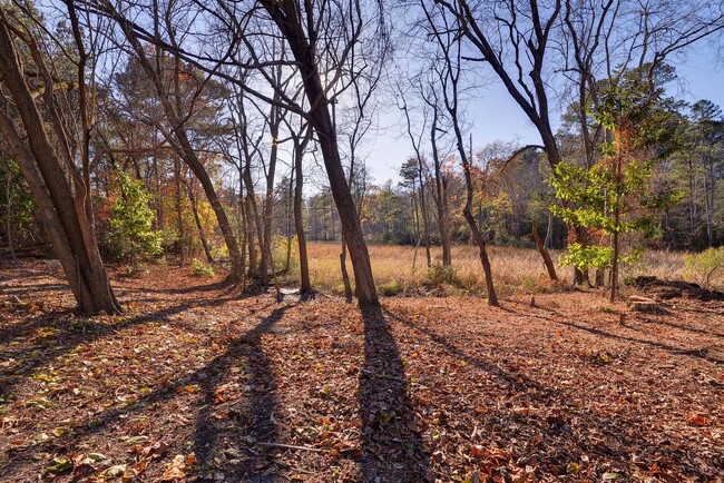 Building Photo - Rancher with backyard views