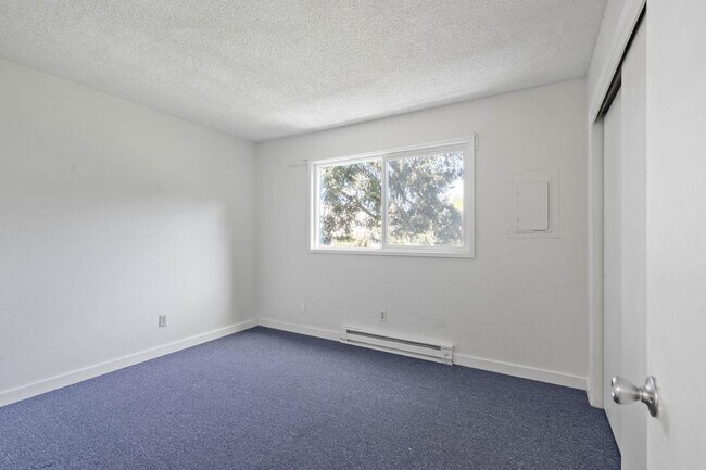 Building Photo - $500 off! Updated, upstairs 2-bdrm/1-bath triplex apt—On-site w/d, off-street parking, near downt...