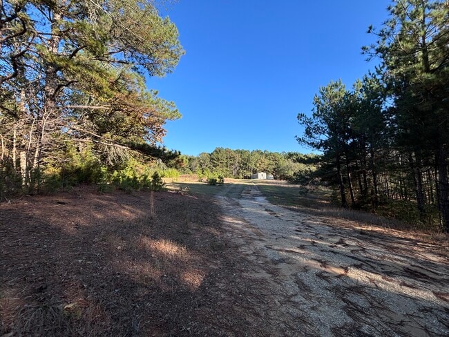 Building Photo - 22240 County Rd 251