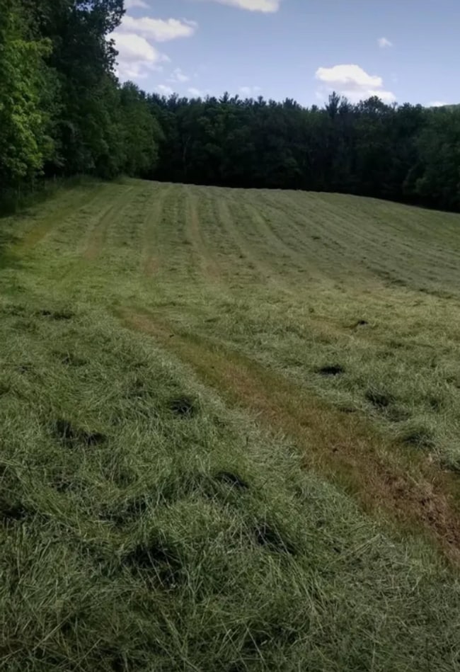 Building Photo - 4 Bedroom homestead on 6.68 acres