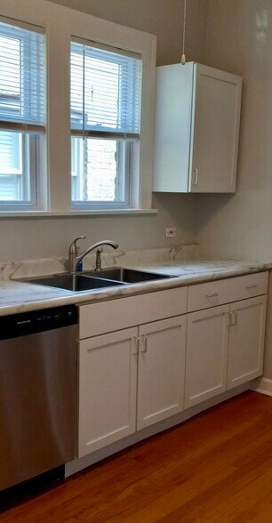 Kitchen counter/sink/cabinets - 6734 N Oxford Ave