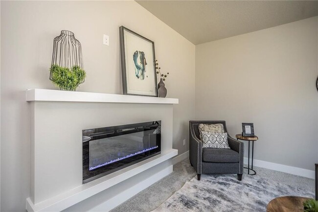 fireplace - 17107 Blue Sage Ln