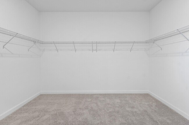 Building Photo - 6843 Cobia Cir