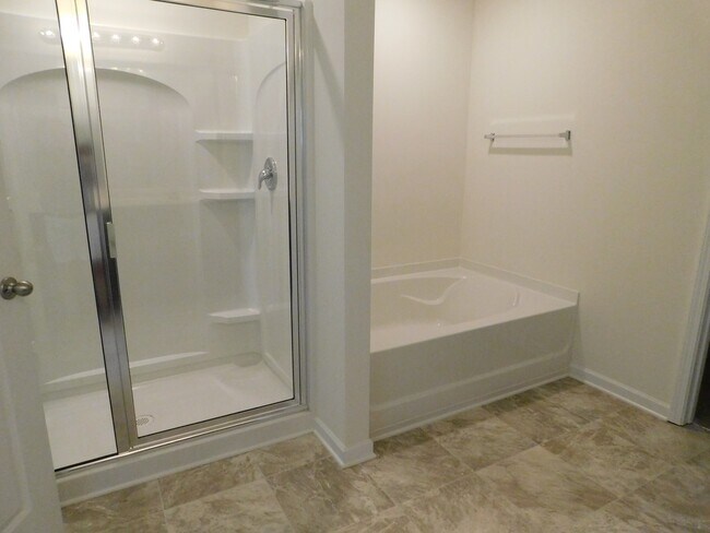 Building Photo - Brand New! 4 bed, 2.5 bath