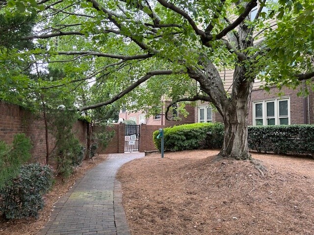 Walkway to my condo - 1101 E Morehead St