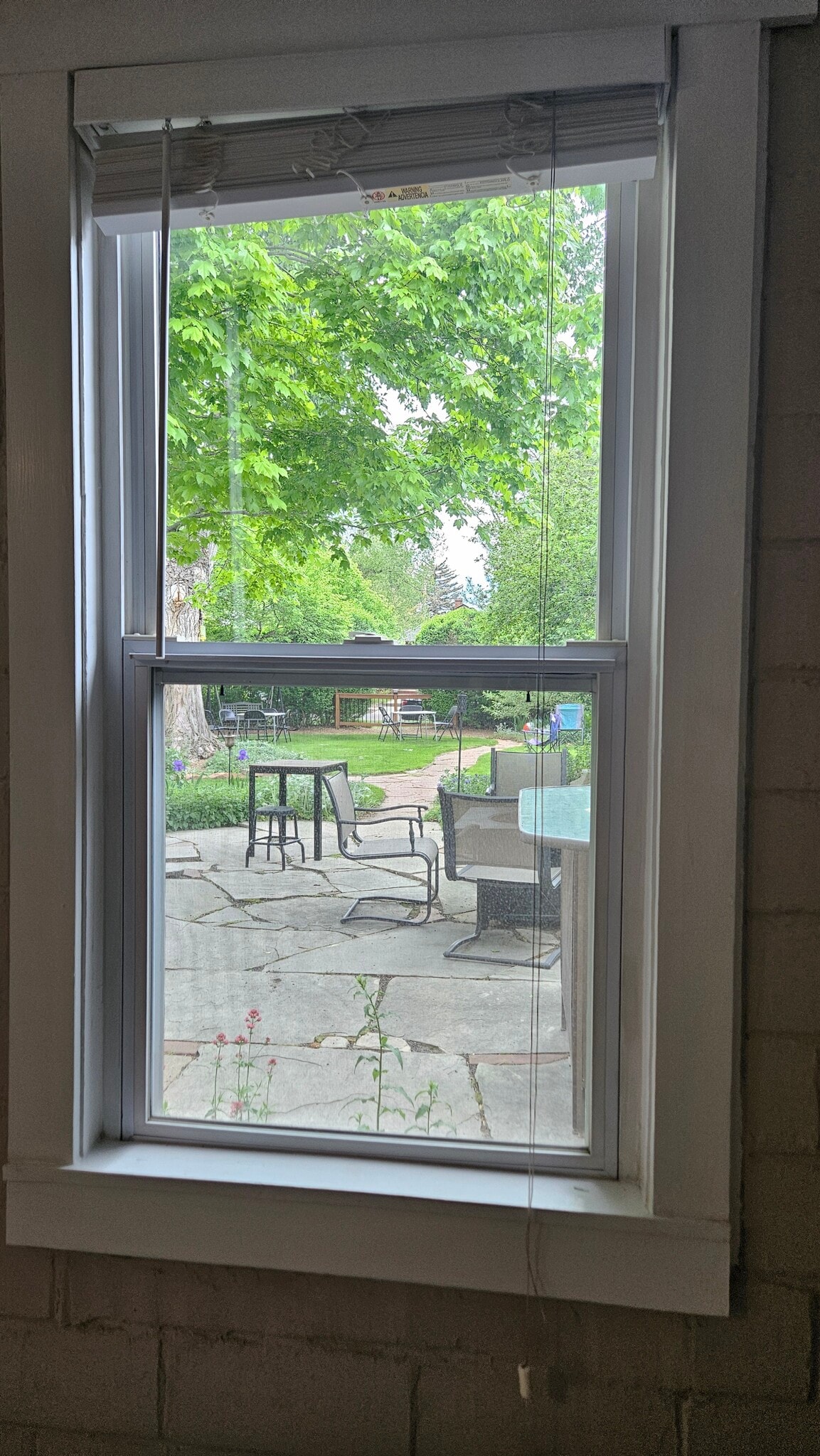 Looking out front to yard - 2238 Newton St
