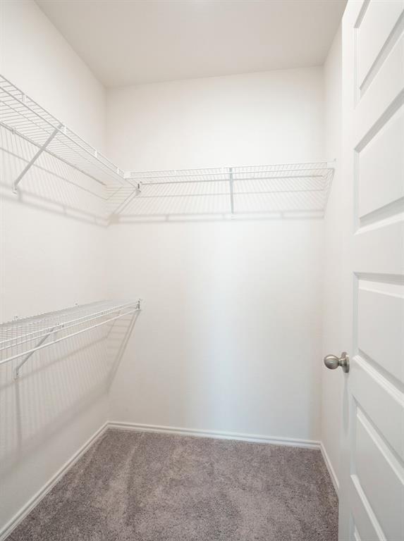 Building Photo - 4653 Alfano Loop