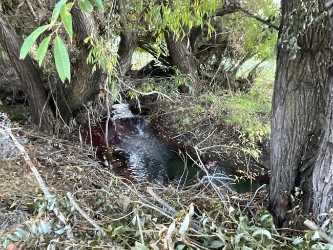 Building Photo - 2 bdrm 1 bath Duplex. Small Dog Friendly