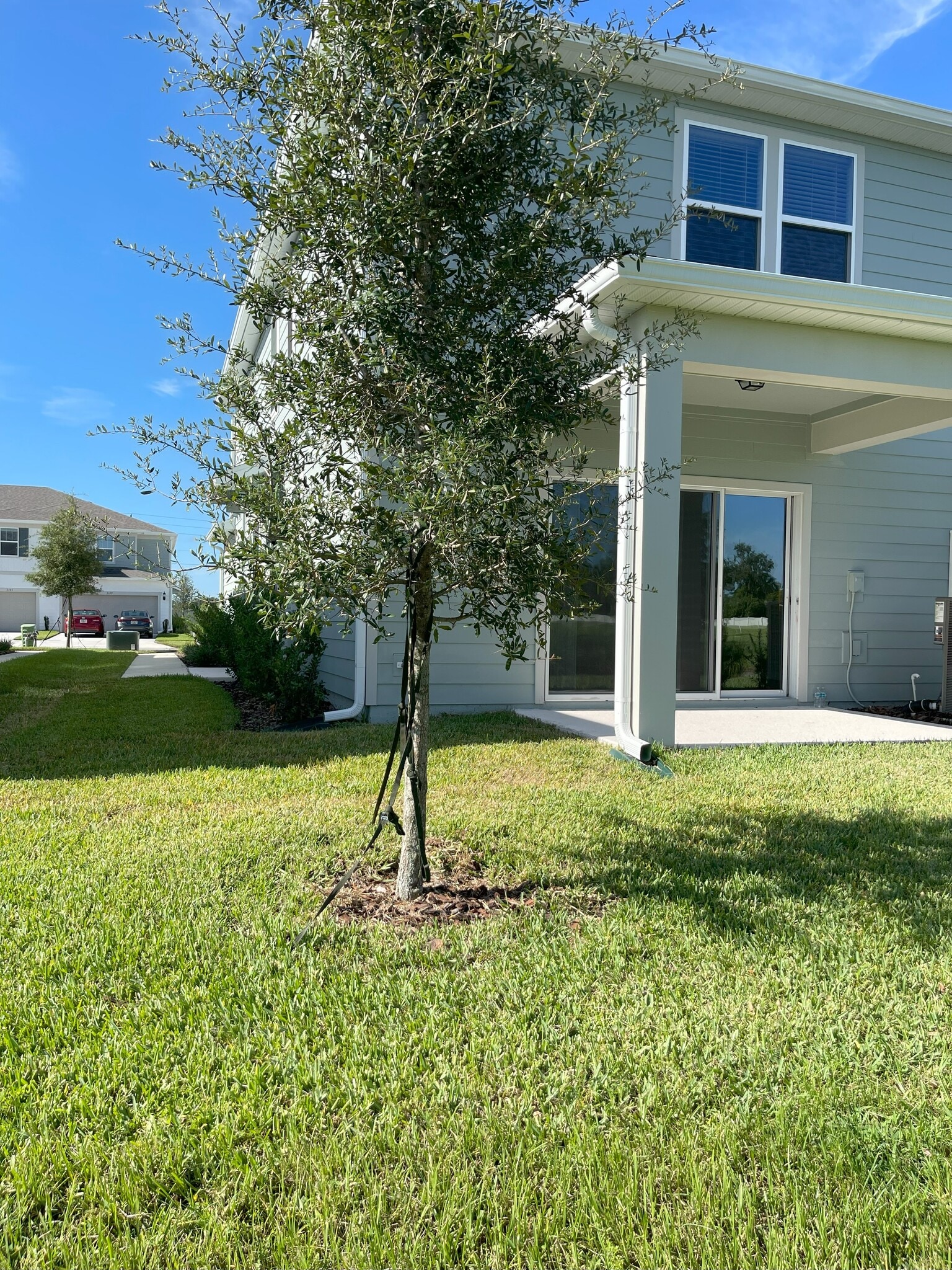 Building Photo - 3156 Emerald Acres Ln