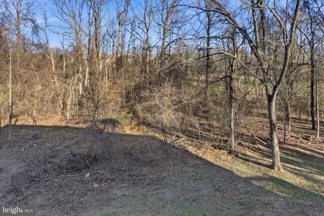 Building Photo - 6174 Silver Arrows Way