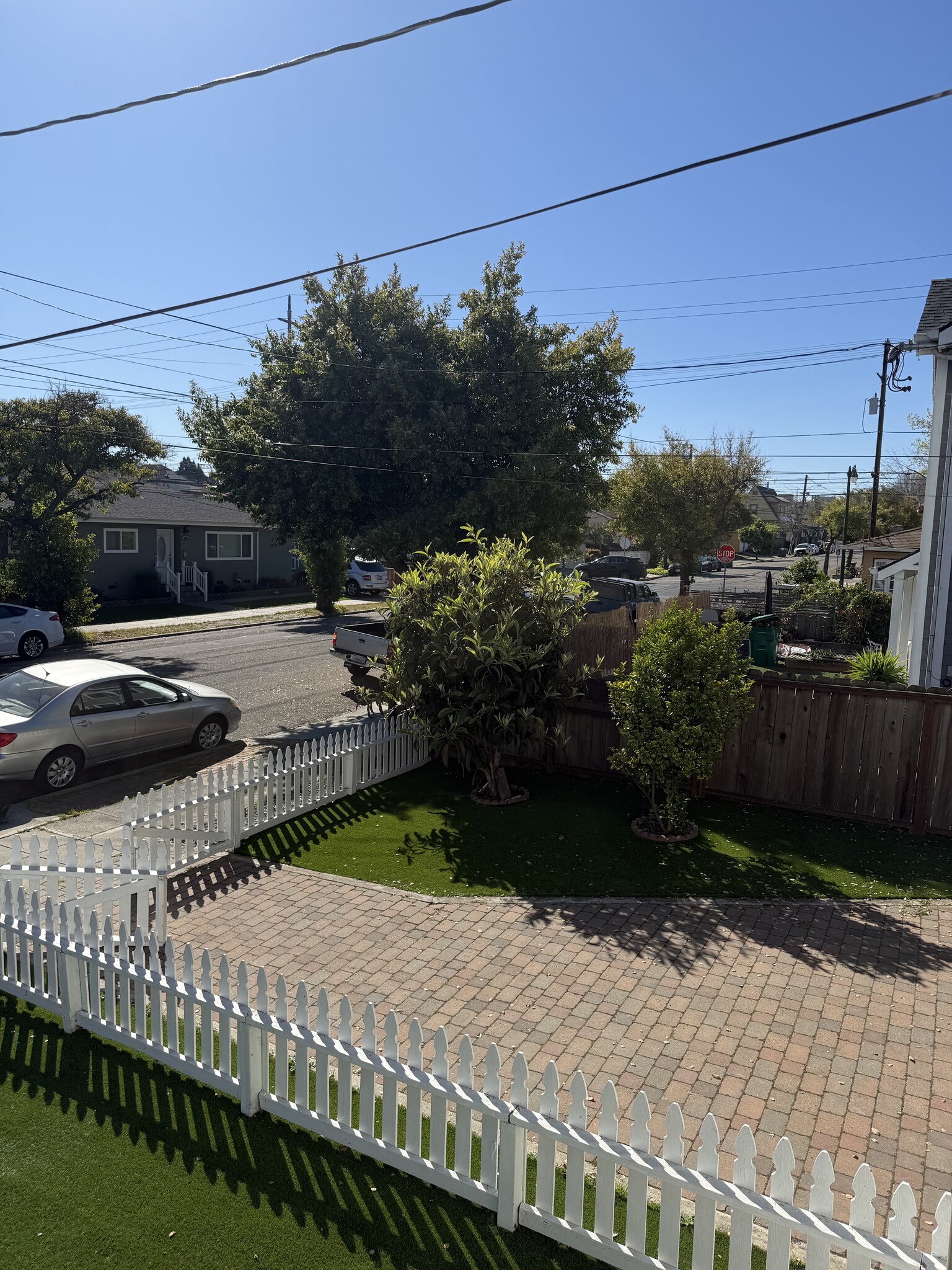 Building Photo - 1813 Saint Charles St