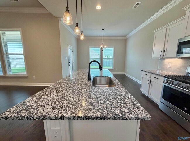 Building Photo - 12804 Hudbug Dr