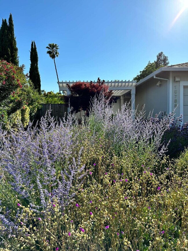 Building Photo - Sonoma 4 Bed 2 Bath Home.
