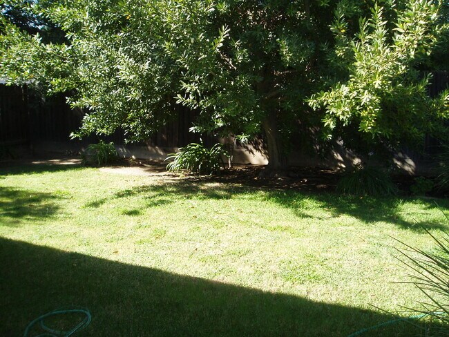 Building Photo - Beautiful 4 Bedroom home in the Clovis District