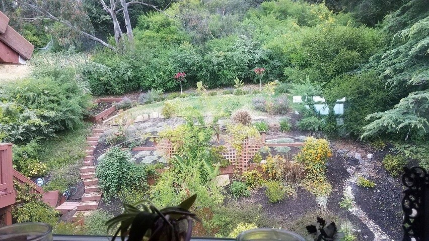 Building Photo - 9028 Burr St