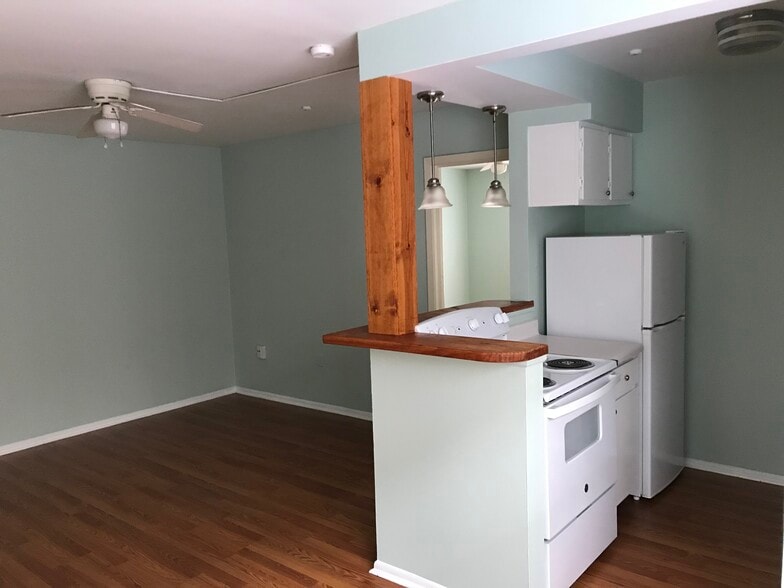 Kitchen / living - 175 Burgin Ave