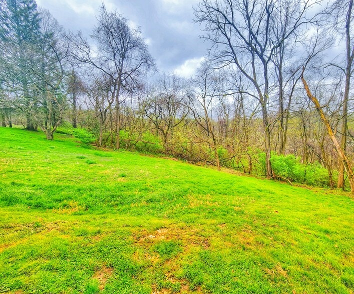 Large backyard - 1404 Chamberlain Ave