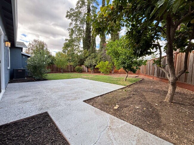 Building Photo - "Beautifully Remodeled 4-Bed Walnut Creek ...