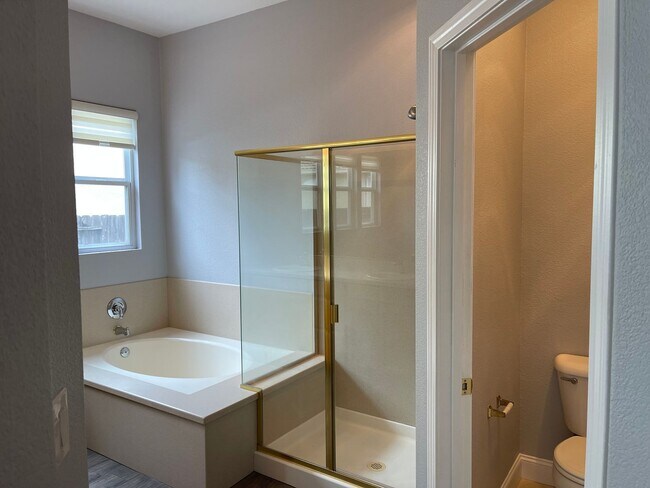 Building Photo - Immaculate 4br Pet Friendly Home in Morada