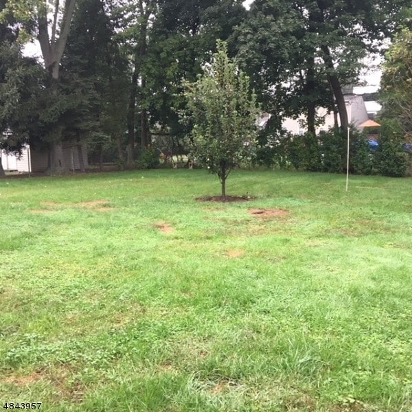 Building Photo - 15 Laurel Pl