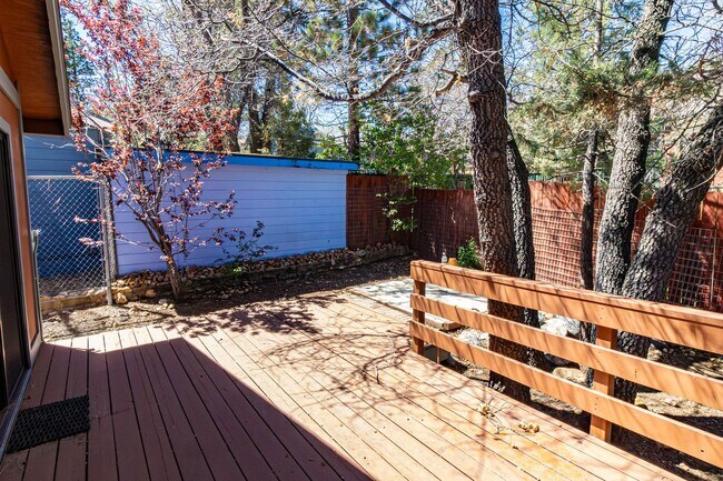 Building Photo - Sugarloaf Cutie