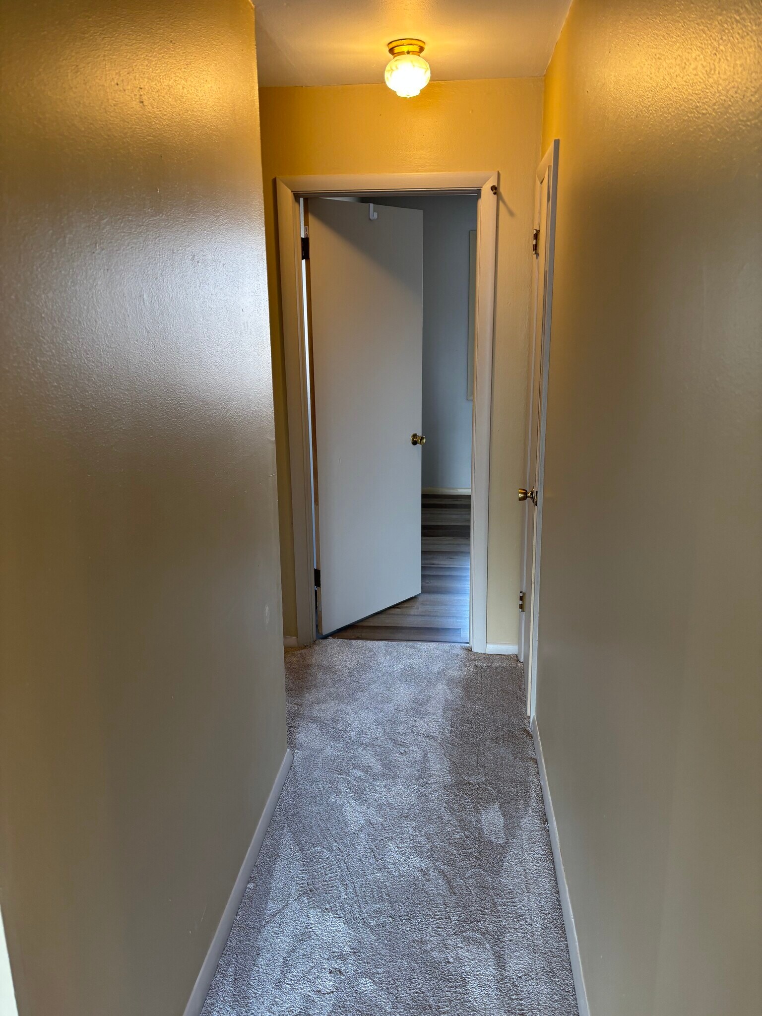 Building Photo - 224 Montana Ave