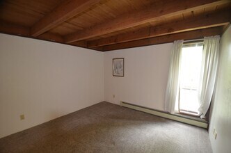 Building Photo - Treehouse condo! Utilities included! New ...