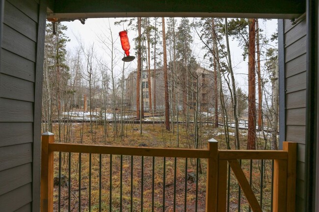 Building Photo - 2 bed, 1 bath available for 1-year in Silverthorne!