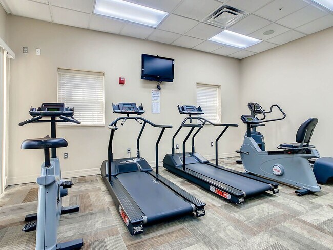 Building Photo - Beautiful Ocean Walk Condo Available February 28th