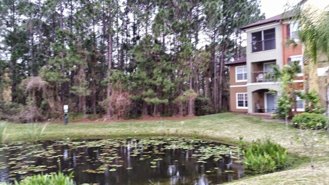 Building Photo - Beautiful 1/1 Wood Floors Condo at The Cre...