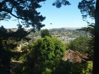 Building Photo - Pet Friendly Mill Valley Home w/ Hardwood floors and View