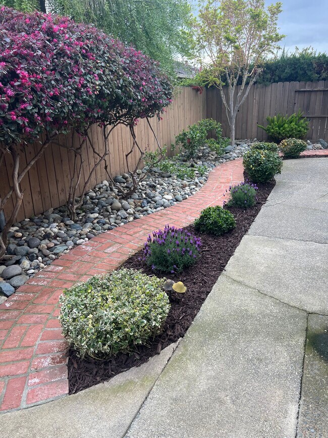 Building Photo - 1216 Spruce Tree Cir