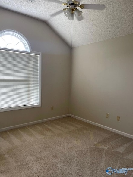 Building Photo - 118 Todd Dr