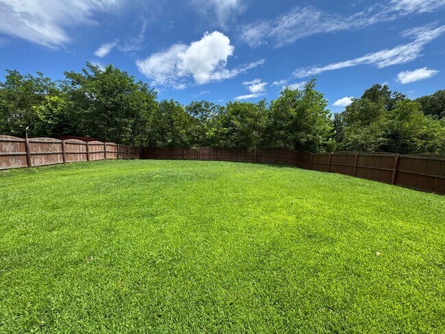 Building Photo - South AVL - Beautiful, Spacious, Versatile...