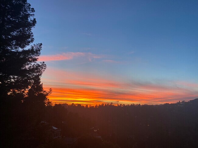 Primary Photo - 6579 Exeter Dr