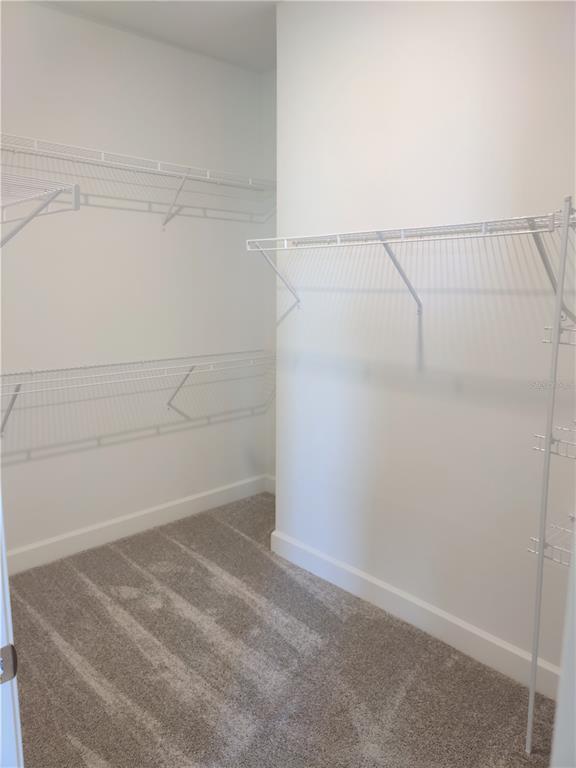 Building Photo - 14558 Mossy Pine Ct