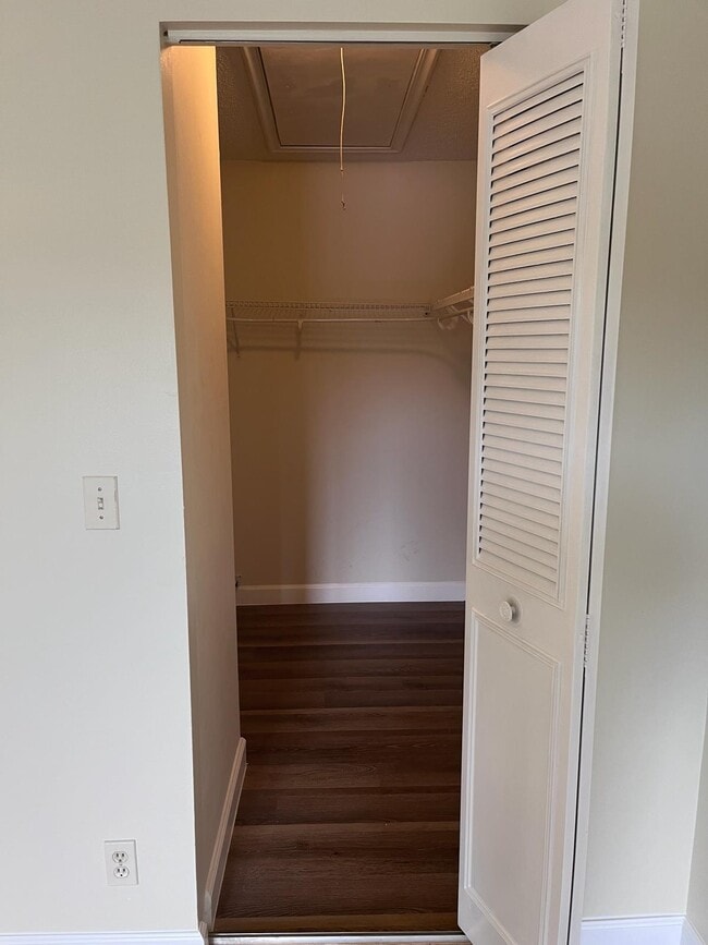 Walk-in Closet (Main room) - 1002 Green Pine Blvd