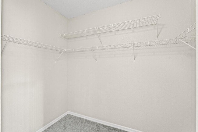 Building Photo - 1214 Sweet Violet Ct