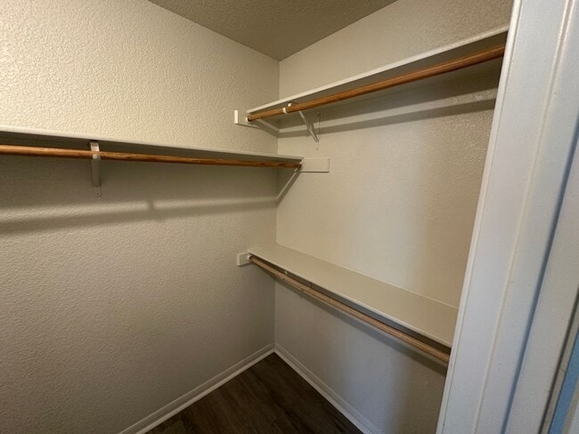 Building Photo - 2609 Vernice Loop