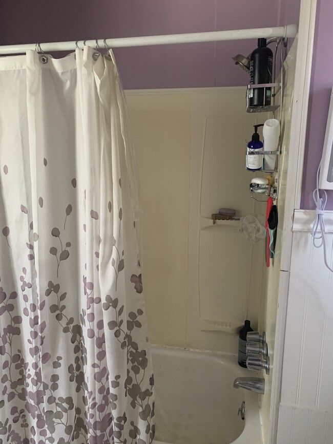 Has shower and tub - 255 N Van Buren St