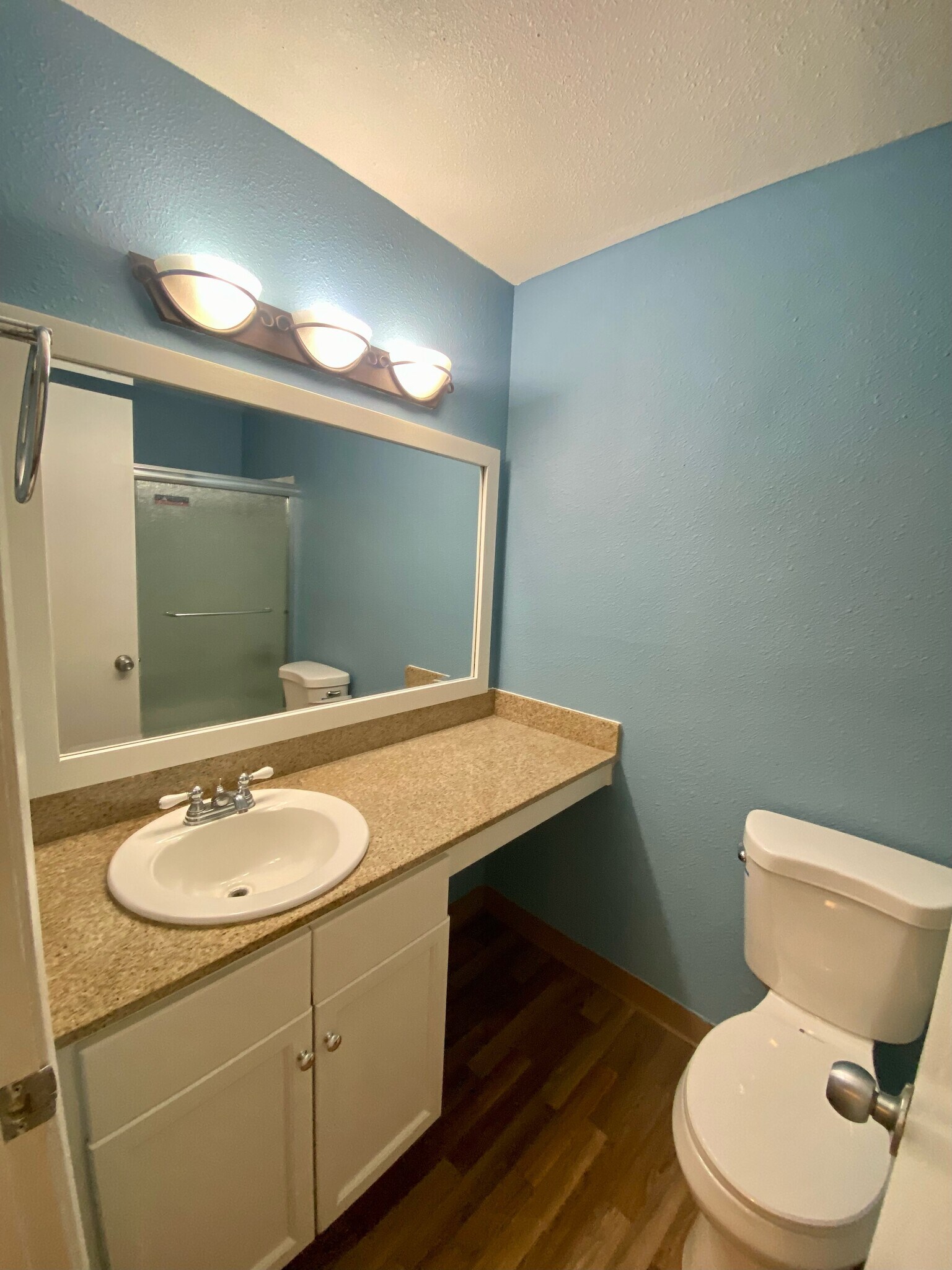 REMODELED BATHROOM - 1333 N Camino Alto