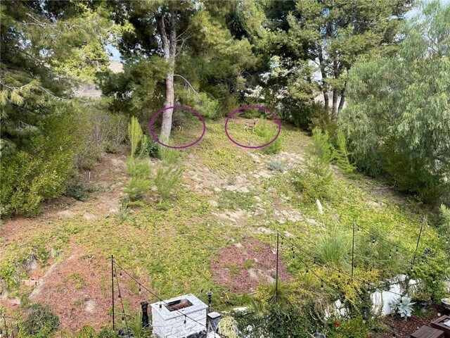 Building Photo - 30461 Marbella Vista
