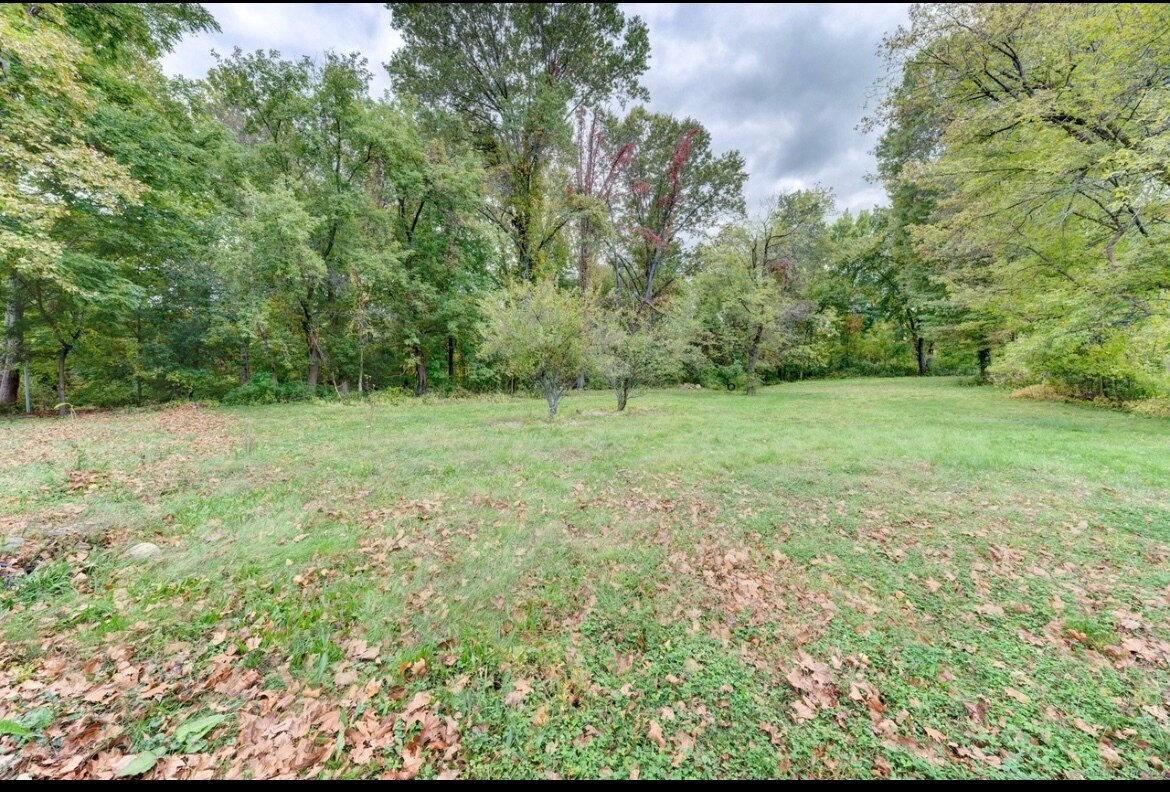 Backyard - 541 Park Ave