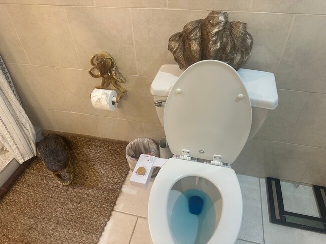 Building Photo - 8200 N St Peter Ave