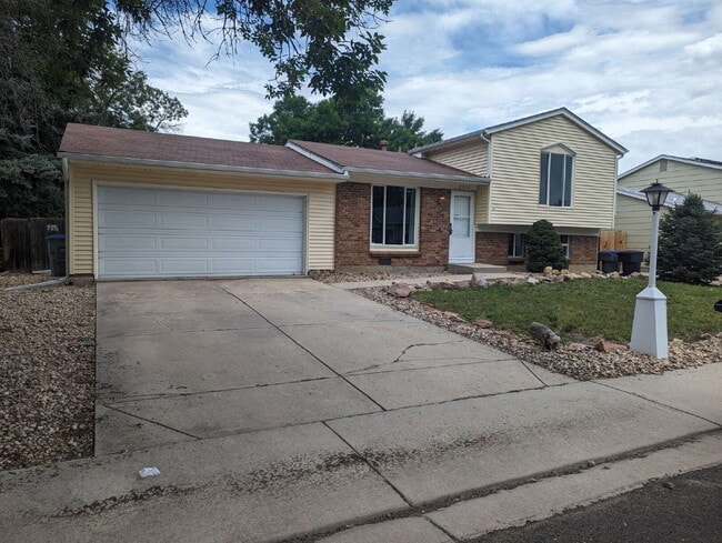 Primary Photo - Newly updated 3/2 in North Longmont!