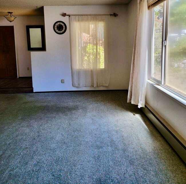 Building Photo - 1101 Shasta Alpine Dr