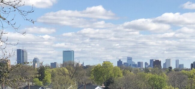 House view - 388 Arborway