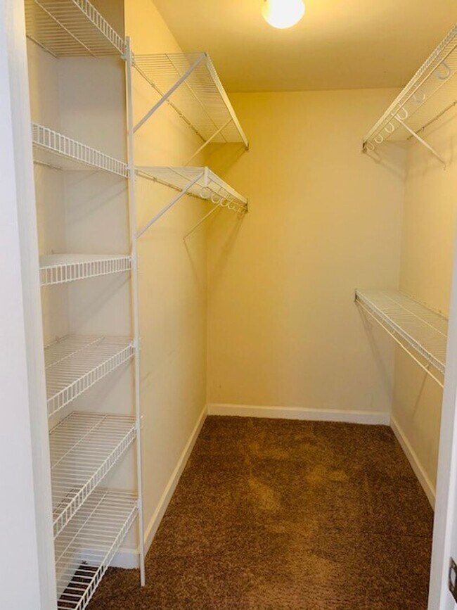 Building Photo - 3 Bedroom in The Landing @ Everetts Creek