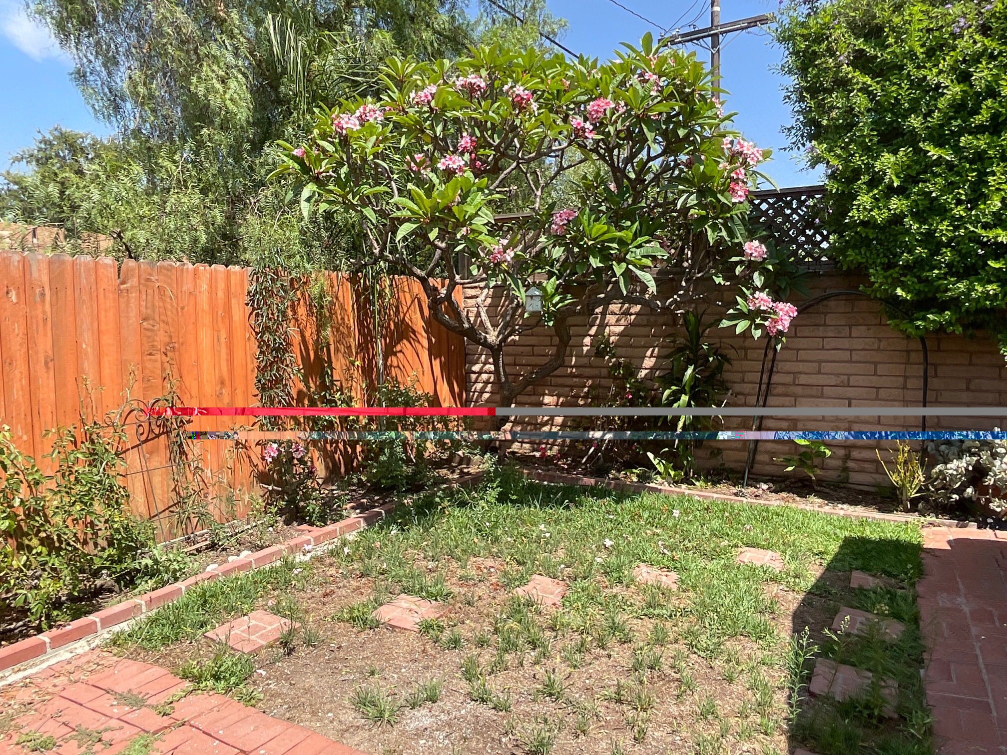 Second Backyard space on Eastside - 11237 Garfield Ave