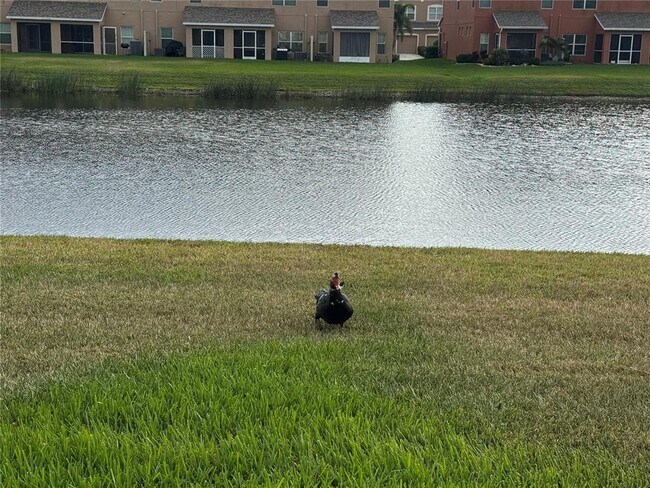 Building Photo - 11562 84th St Cir E